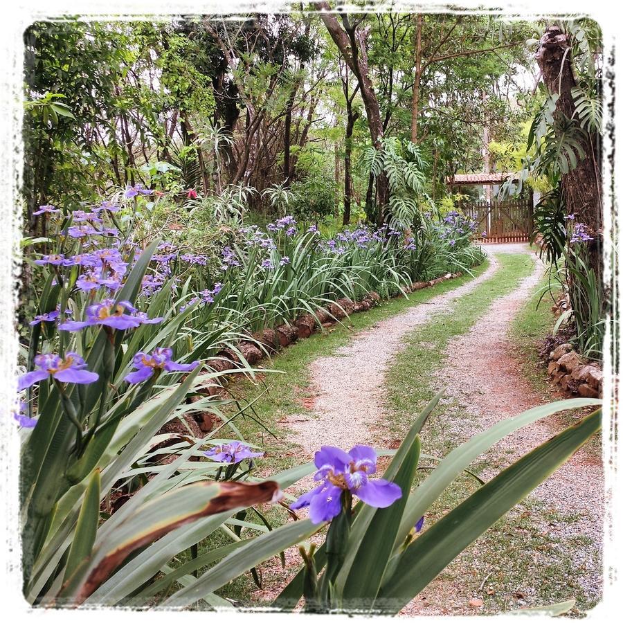 Casa Iris De Van Gogh Brumadinho Exterior foto